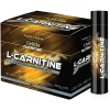 Onvıt Nutrition L-carnitine Ve Aminos Asit, Amino Acid Shot,20 Shot