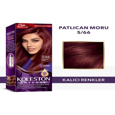 TOPTANBULURUM Koleston Intense Saç Boyası 5/66 Patlıcan Moru - Salon Kalitesi