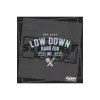 Low Down Hard 206 Hologram Arka Cam Sticker