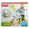 Dld80 Fisher-price® Melodili Zebra Yürüteç