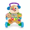 Ftg10 Fisher-price® Eğitici Köpekçik Yürüteç /türkçe