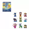 17150 Paw Patrol Rocky Mini Figür Sürpriz Paket Seri 7