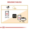 Royal Canin Pouch Gravy Intense Beauty Kedi Maması 85 Gr