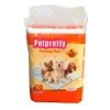 Petpretty Natural Köpek Çiş Pedi 60x90 Cm 10 Adet