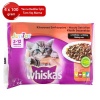 whiskas Etli Seçenekli Multipack Yaş Yavru Kedi Maması 100 Gr x 4 Adet