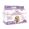 AssorbiPiu Diapers for dog XL 12 pcs.