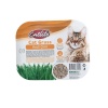 Catlife KEDİ ÇİMİ