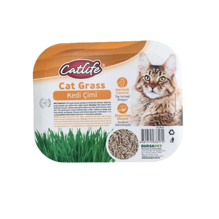 Catlife KEDİ ÇİMİ