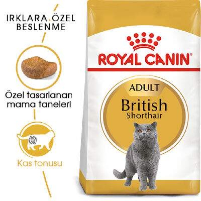 Royal Canin British Shorthair Irkına Özel Kedi Maması 2 Kg