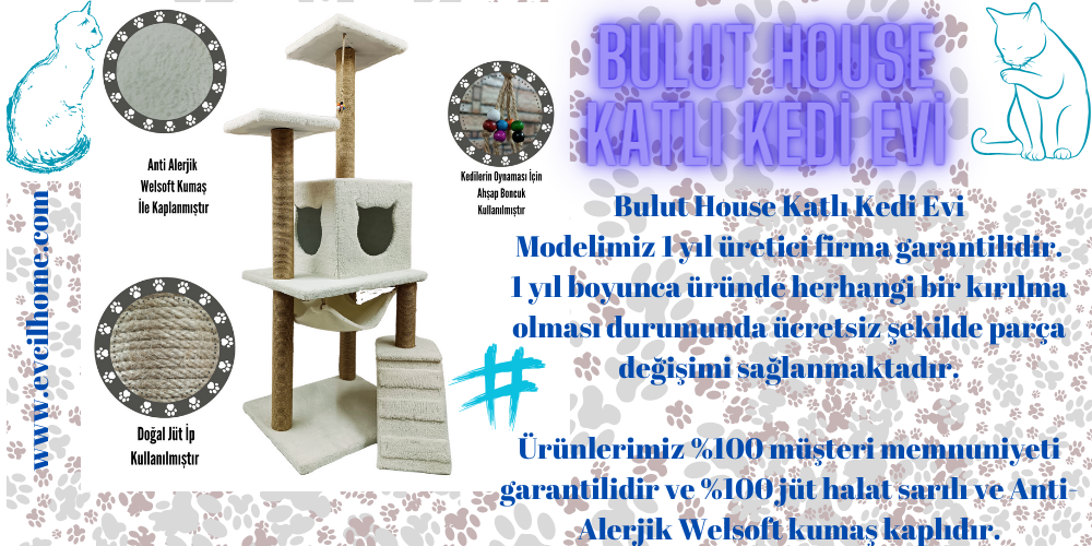 Bulut House Kedi Evi Ürünümüz Hakkında