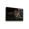 Leopar Cam Tablo   70 x 110 Çok Renkli