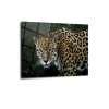 Leopar Cam Tablo   70 x 110 Çok Renkli