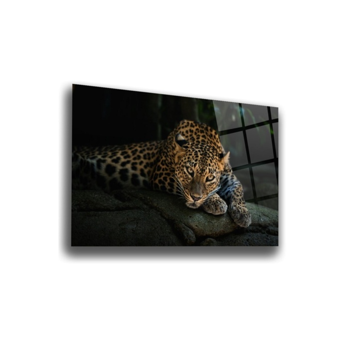 Leopar Cam Tablo   70 x 110 Çok Renkli