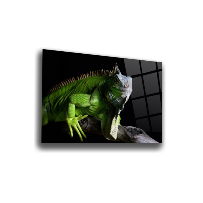 Iguana Cam Tablo   70 x 110 Çok Renkli