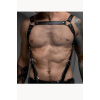 Erkek Harness