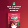 Humm Organik Zencefilli ve Tarçınlı Vegan Kurabiye 55 Gr