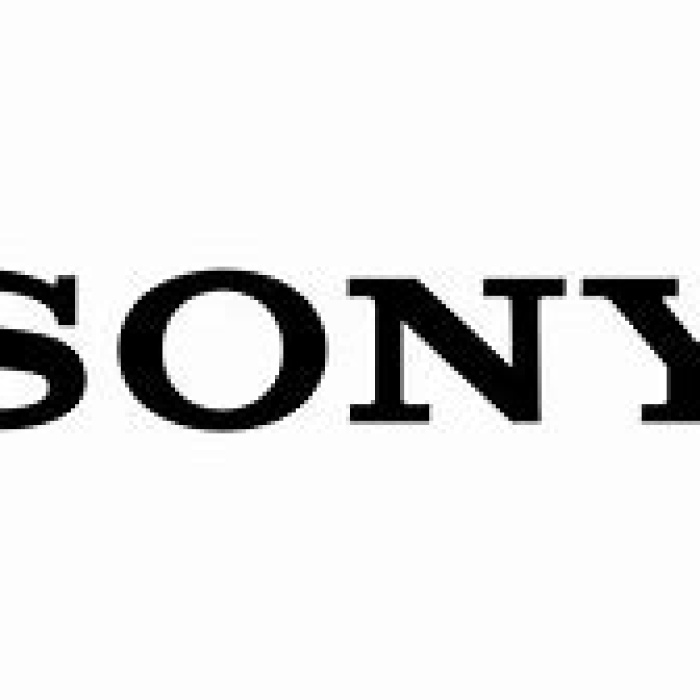 Sony Sd-Mıcro Sd Kılıfı