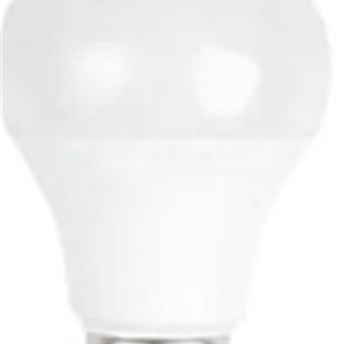 Panther ECO Sarı 60Watt (9W) 800lm 6500K Led E27