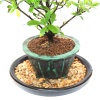 Nem Tabağı (Kahverengi) ve Taşları - No.1 (20 cm)