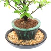 Nem Tabağı (Gri) ve Taşları - No.2 (26 cm)