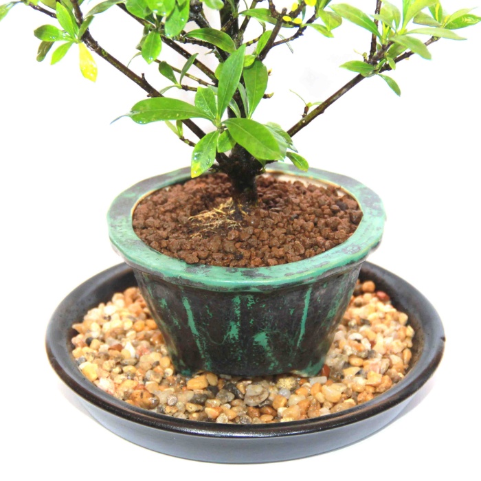 Nem Tabağı (Siyah) ve Taşları - No.3 (30 cm)