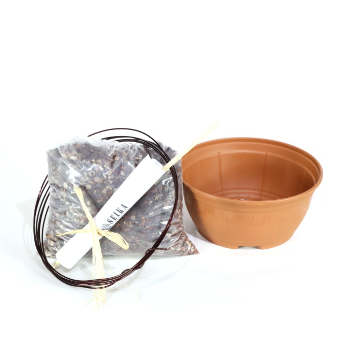 Bonsai Kurtarma ve Saksı Değişimi Kiti No.3 - Kahverengi