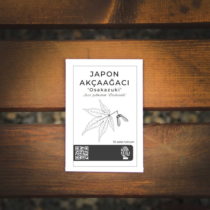 Ağaç Tohumu - 5li Japon Akçaağaçları Paketi