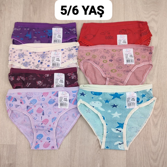 6 Adet Kız Çocuk Desenli Pamuklu Penye Slip Külot  - GBK101410