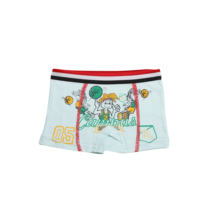 Desenli Erkek Çocuk Boxer 8007 | Mint