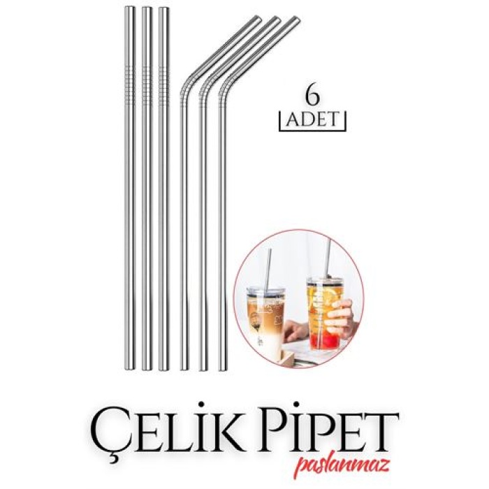 TransForMacion 6 lı Çelik Pipet Seti Pierre Design 718893