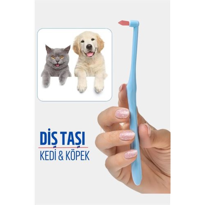 Transformacion Köpek Ve Kedi Diş Taşı Temizleyici 721115