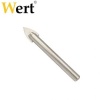 WERT 3405 Cam Delme Ucu (10x65mm)