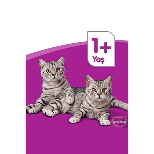 Whiskas Tavuk Etli 300 gr Yavru Kedi Maması