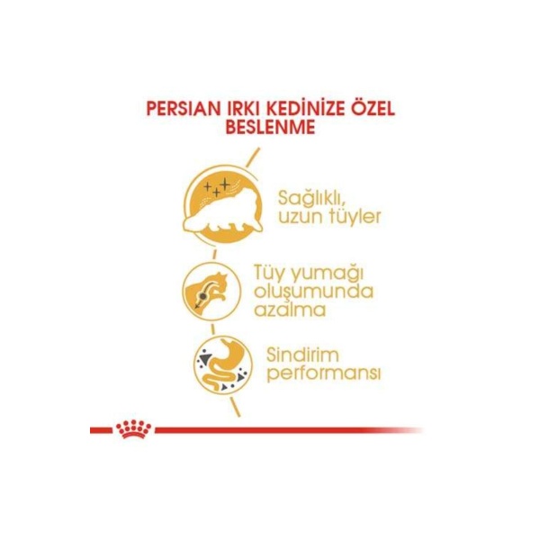 Royal Canin Persian İran Kedilerine Özel 2 kg Yetişkin Kedi Maması