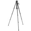 Levenhuk Level PLUS VT10 Tripod (2563)