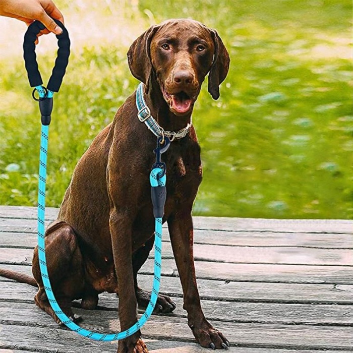 Reflektörlü Fosforlu Köpek Gezdirme Halatı Tasma Kayışı Metal Kancalı 130 cm (2563)