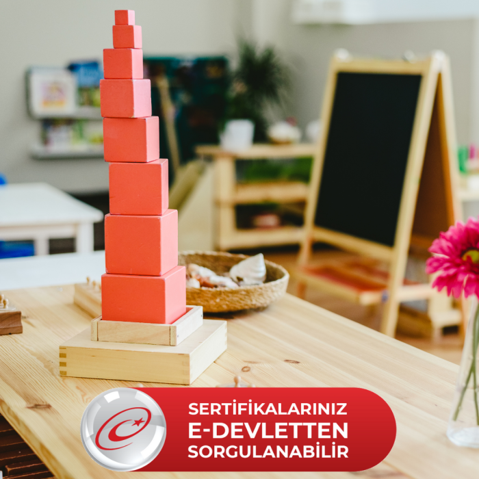 Montessori Eğitmen Eğitimi (Uygulayıcı Belge)