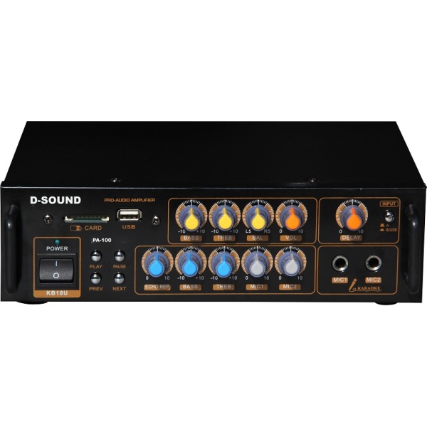 D-Sound Pa-100 Mixer Amplifier