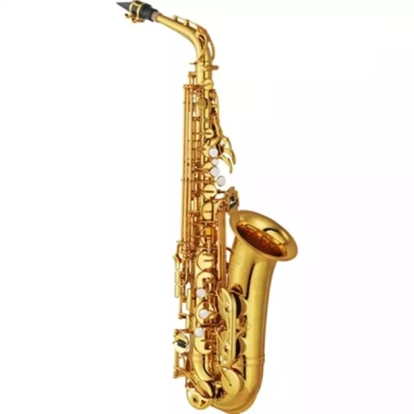 Müller Mas-1001 Alto Saxophone