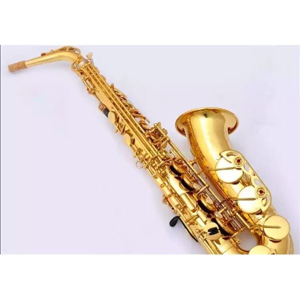 Müller Mas-1001 Alto Saxophone