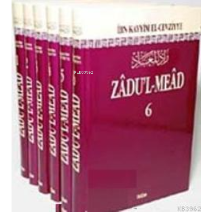 Zadul Mead Tercümesi (6 Cilt Takım); Resulullahın (s.a.v.) Yolunda