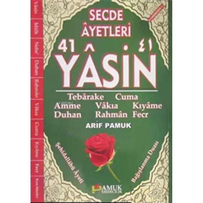 Secde Ayetleri 41 Yasin