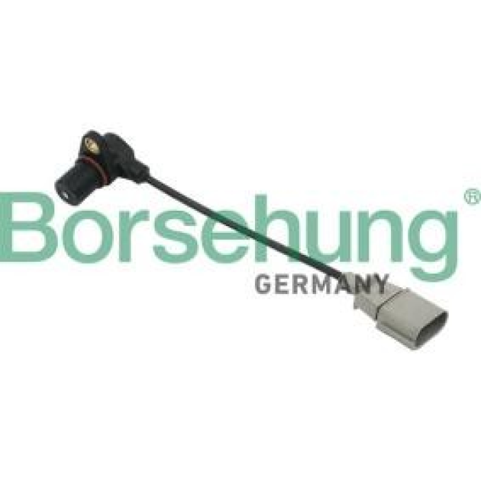 Krank Sensörü (BORSEHUNG)(B13671)(06A906433G)