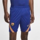 Nike  Fcb M Nk Df Strk Dry Short Cd6001-455