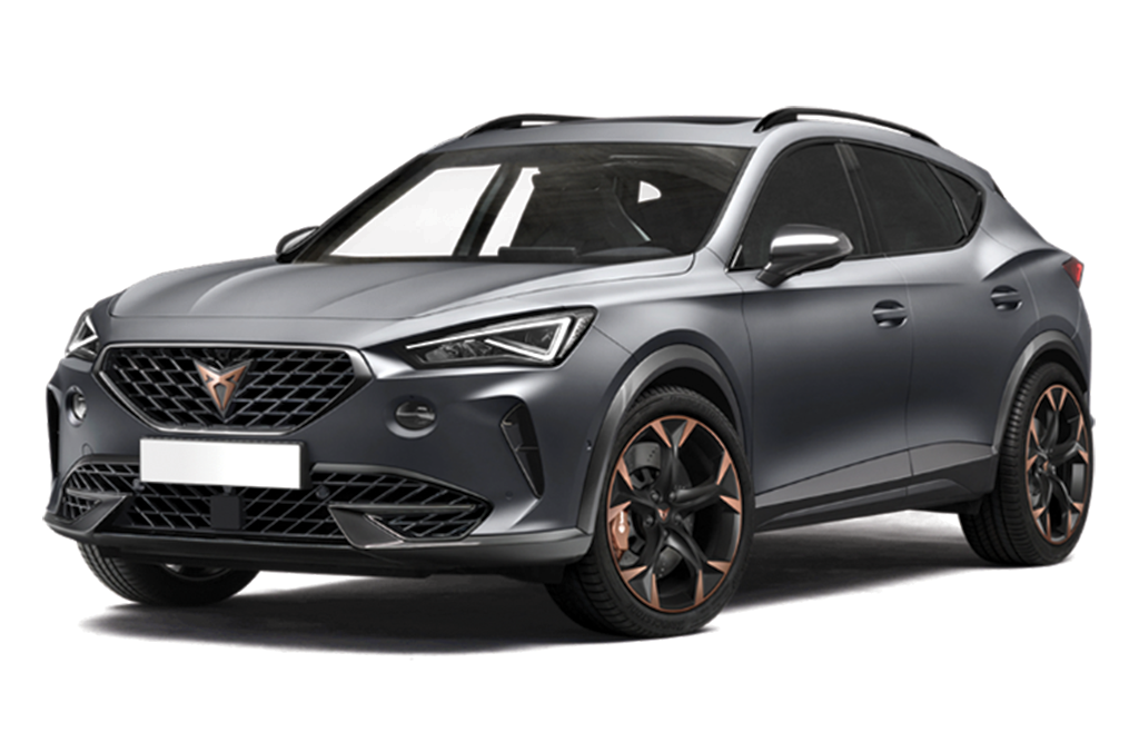 Rizline Cupra Formentor 2022+ 3D Bagaj Havuzu Ve Paspas Set