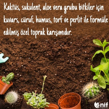 NIF KAKTUS SUKULENT TOPRAGI 3 LT