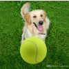 Petzoom Tenis Topu Köpek Oyuncağı 3 Adet