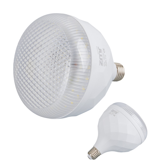 113/B.65 50W KRİSTAL CAMLI T-BULB BEYAZ LED AMPUL E27 6500K (15X19MM)