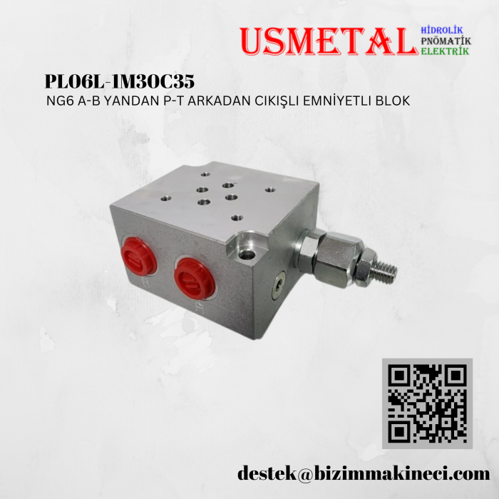 PL06L-1M30C10 YANAL PORTLU PARALEL EMNİYETLİ BLOK