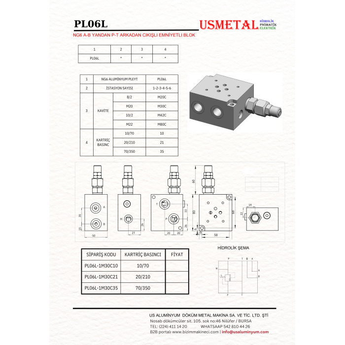 PL06L-1M30C10 YANAL PORTLU PARALEL EMNİYETLİ BLOK